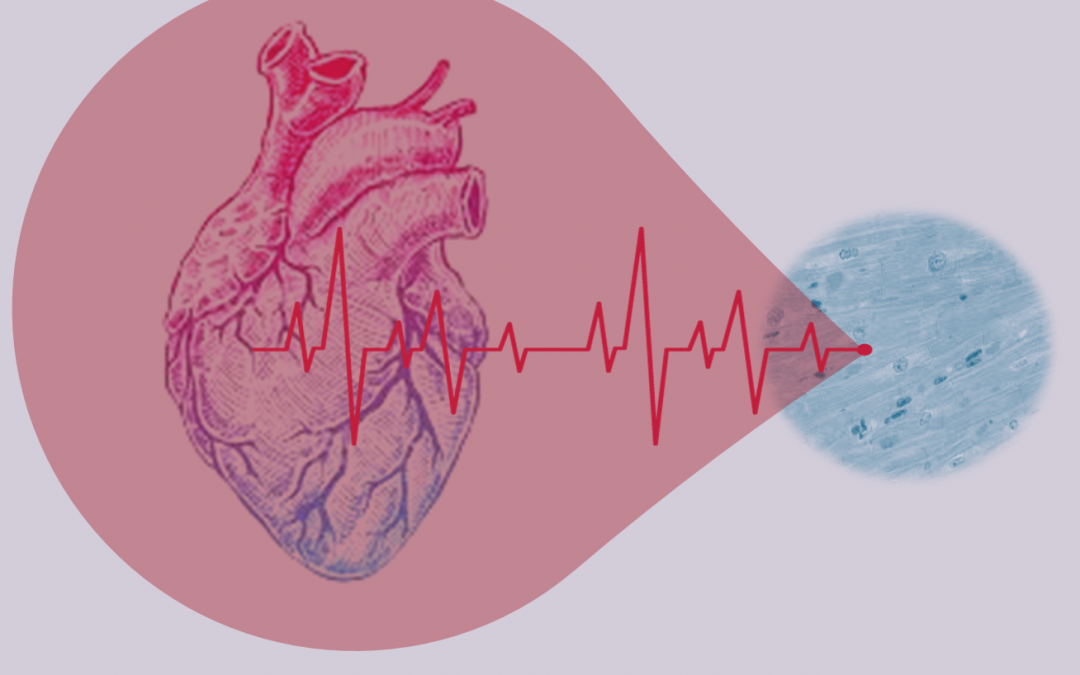 Μεταβολική Καρδιολογία: από την θεραπεία της καρδιάς στην θεραπεία του μυοκαρδιακού κυττάρου