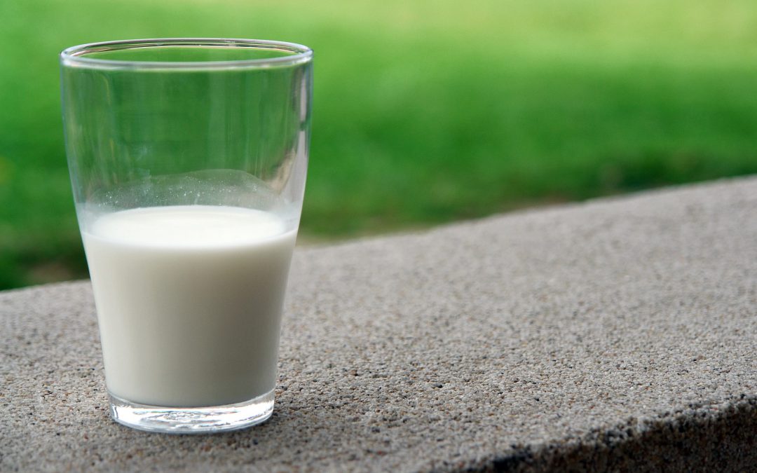 Η διατροφική αξία των φυτικών ειδών γάλακτος